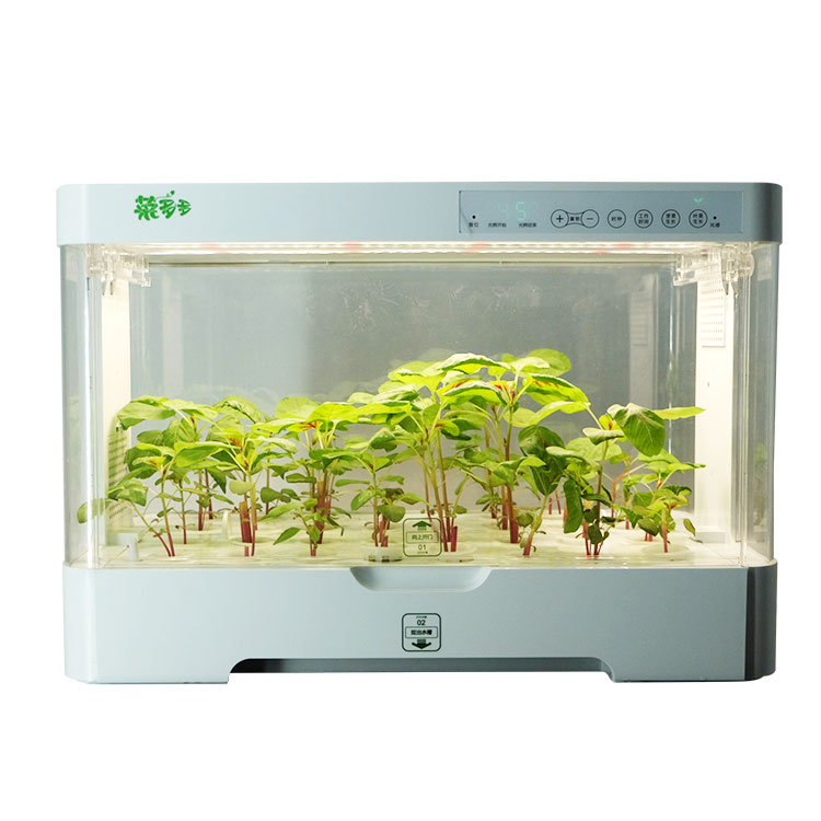 Hydroponic Kit - 소형 실내용 스마트 플라스틱 화분 보관함,