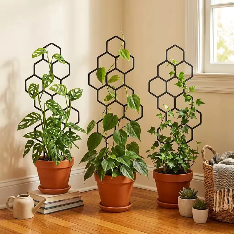 Indoor Herb Garden - 2/4개 벌집 모양 식물 지지대, 화분에