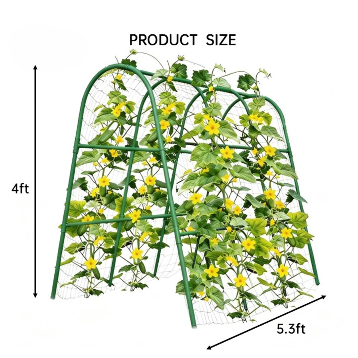 4x5.3피트 정원 아치형 트렐리스 (높은 화단용),  - Raised Garden Bed 리뷰 및 가격