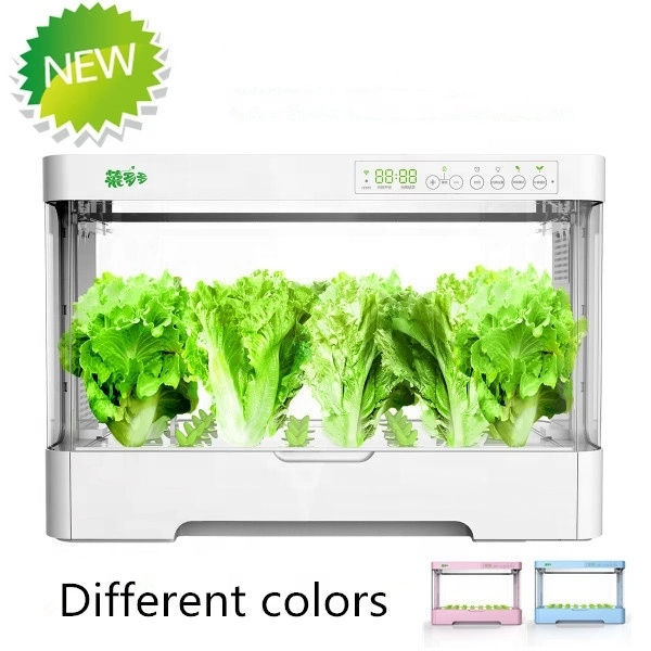 소형 실내용 스마트 플라스틱 화분 보관함, 수경 재배  - Hydroponic Kit 리뷰 및 가격