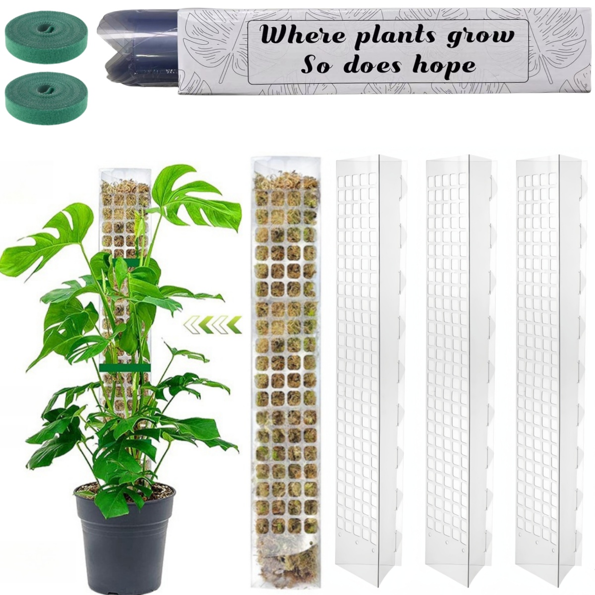 이끼 극 플라스틱 식물 스탠드 실내 등산 식물 가디언  - Indoor Herb Garden 리뷰 및 가격