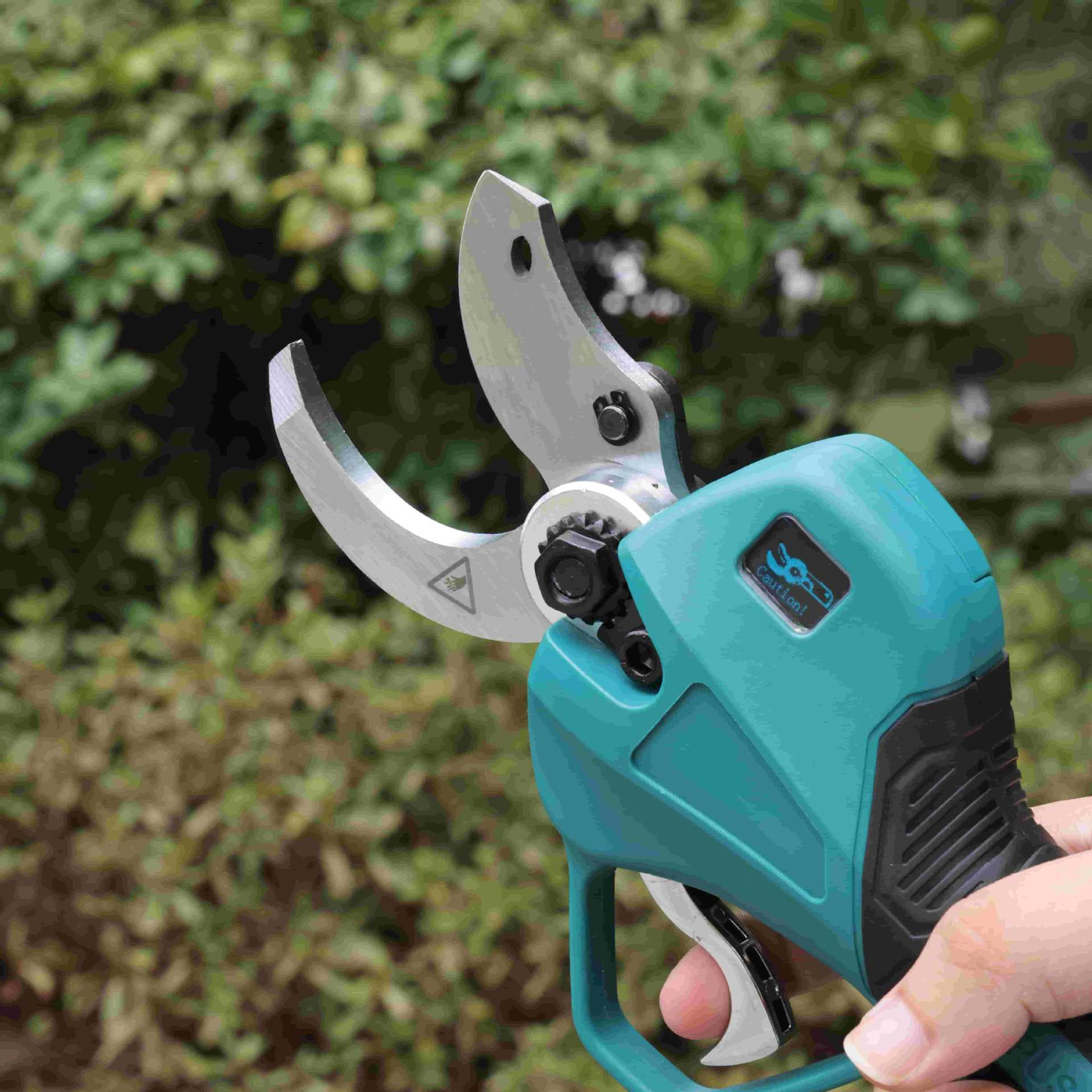 고층 정원 전정가위 리튬 배터리 전동 정원용 가위 과일 - Pruning Shears 리뷰 및 가격