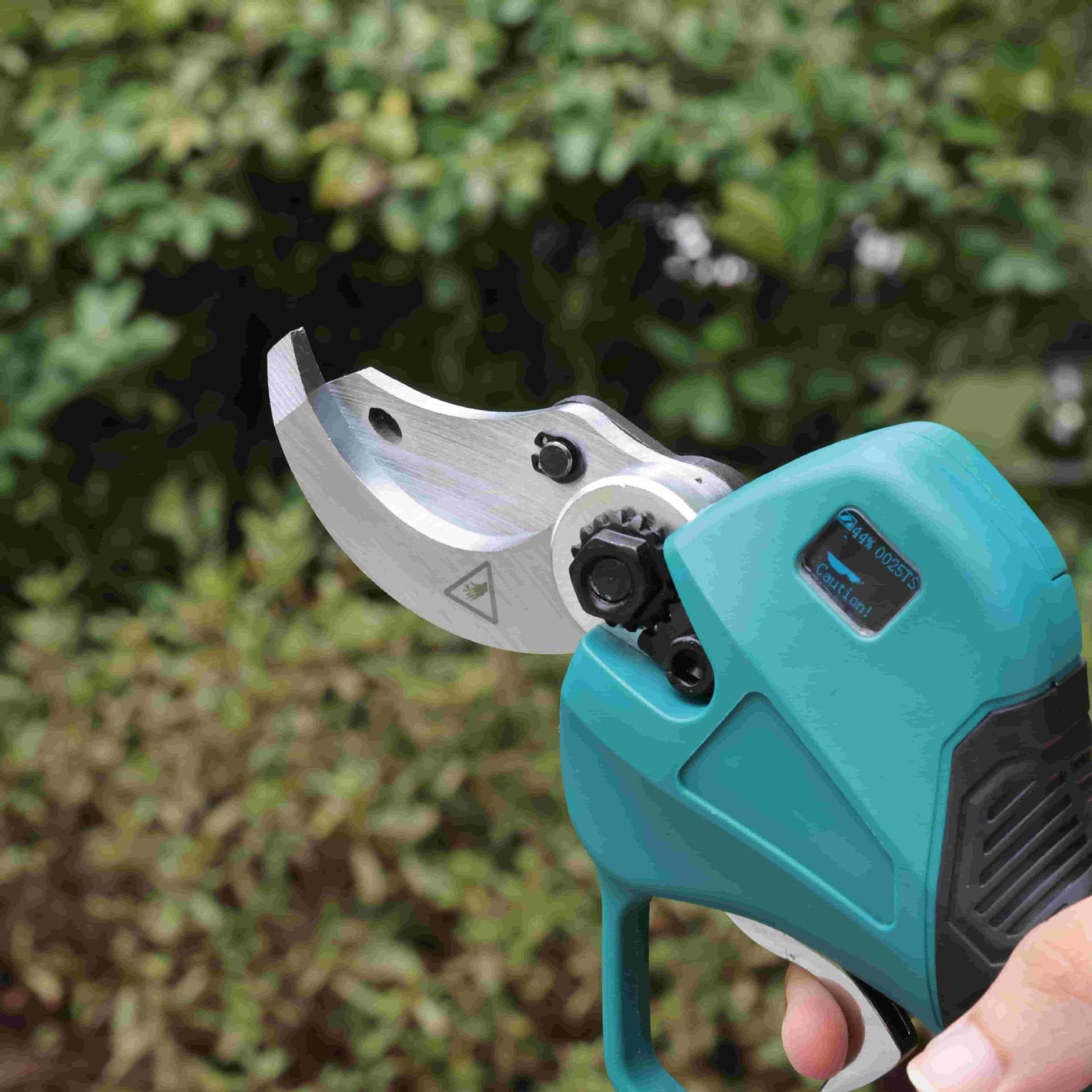 고층 정원 전정가위 리튬 배터리 전동 정원용 가위 과일 - Pruning Shears 리뷰 및 가격