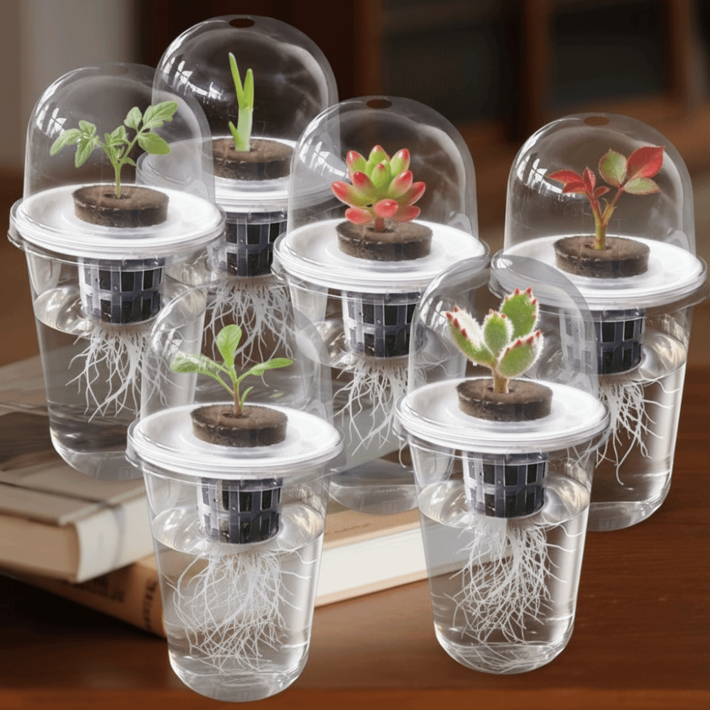 1-5개 투명 식물 발아컵 수경 재배 씨앗 화분 재사용 - Seed Starter Tray 리뷰 및 가격