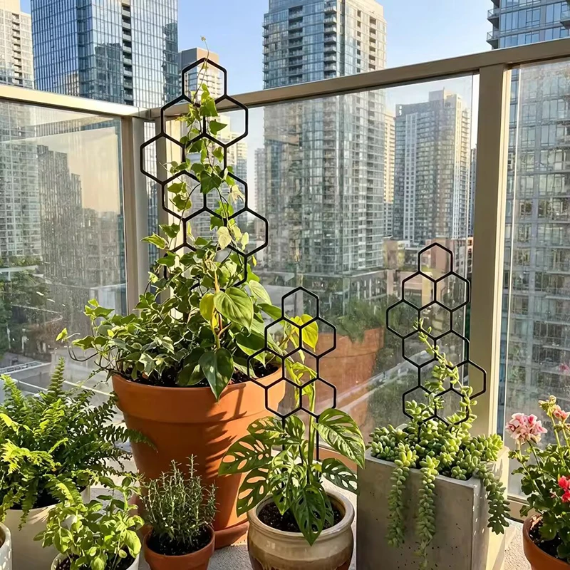 2/4개 벌집 모양 식물 지지대, 화분에 심은 덩굴식물 - Indoor Herb Garden 리뷰 및 가격