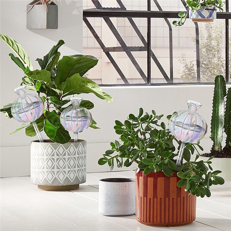 AA94-식물용 자동 급수 구슬, 유리 재질의 선인장  - Self Watering Planter 리뷰 및 가격
